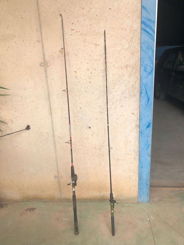 cañas de pescar