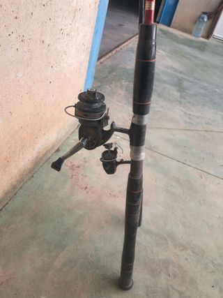 cañas de pescar