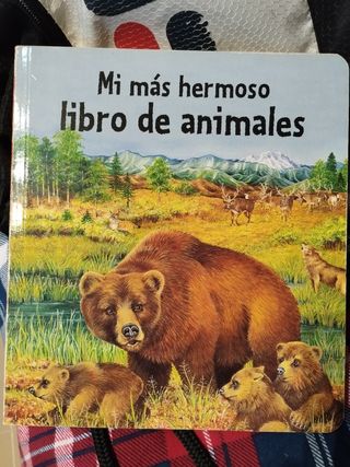 Libro de dibujos animales infantil