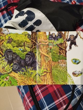 Libro de dibujos animales infantil