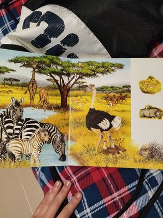 Libro de dibujos animales infantil