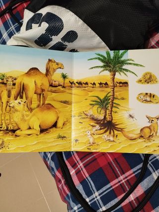 Libro de dibujos animales infantil