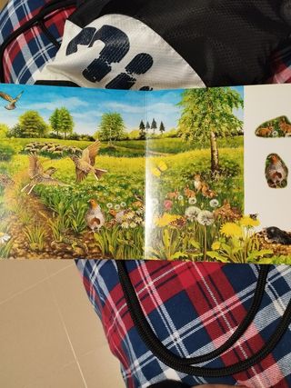 Libro de dibujos animales infantil