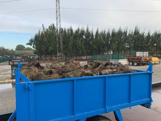 venta de leña