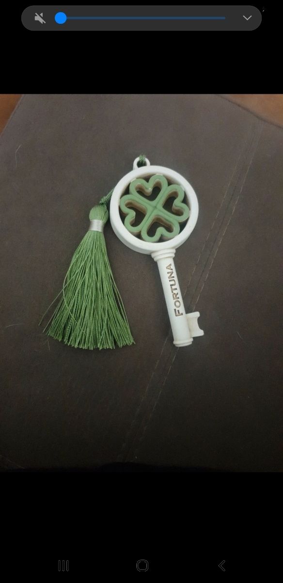 Chiave della fortuna Fantin