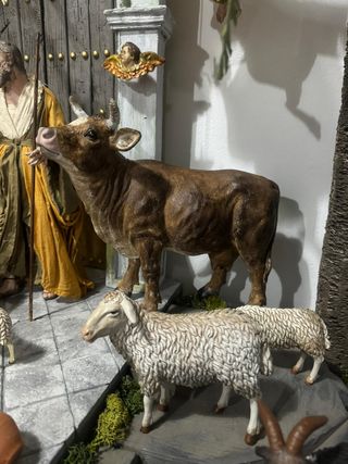 Nascita di Belén Napolitano