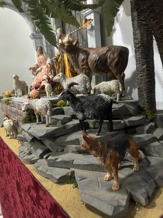 Nascita di Belén Napolitano