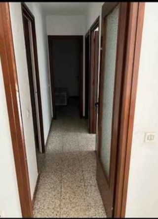 Solador albañil Alicatador