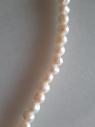 collar