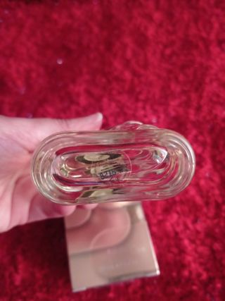 PERFUME PIERRE CARDIN