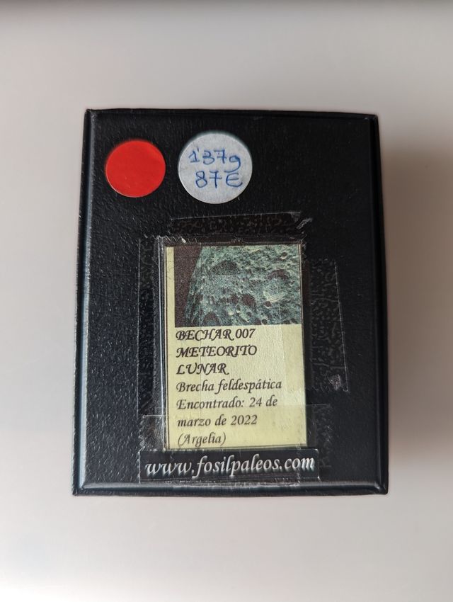 Bechar 007 (meteorito lunar)