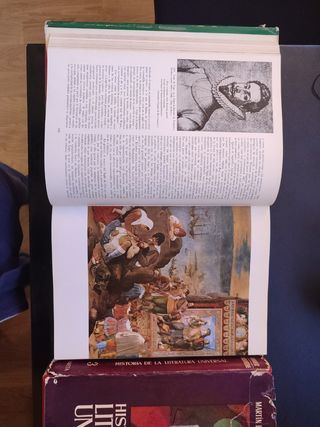 Historia de la Literatura Universal Riquer