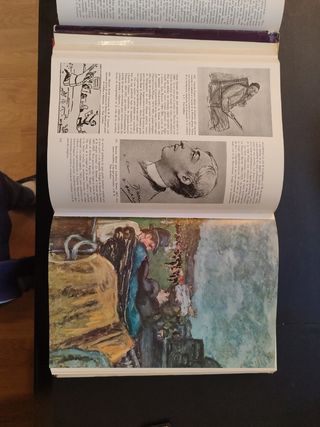 Historia de la Literatura Universal Riquer