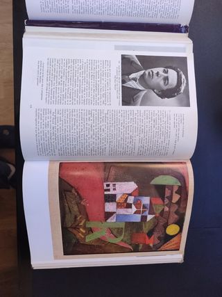 Historia de la Literatura Universal Riquer