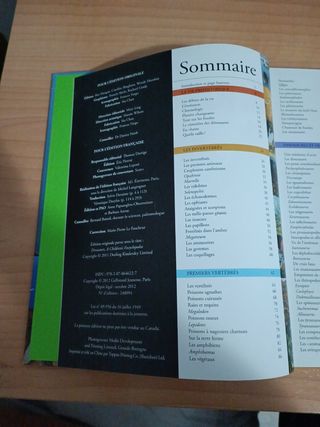 Libro infantil dinosaurios en francés