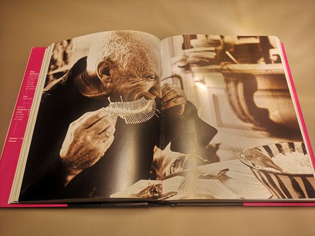 Olivier Widmaier Picasso - Picasso : Portrait inti