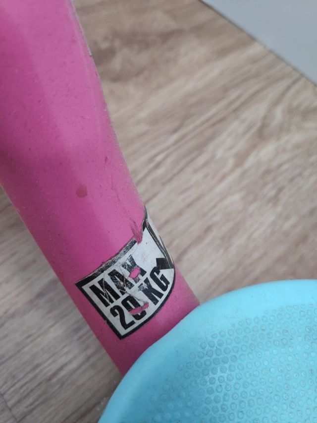 Monopatín dora exploradora