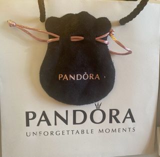 Estuches y bolsas Pandora