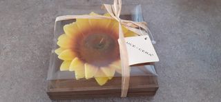 Candela girasole