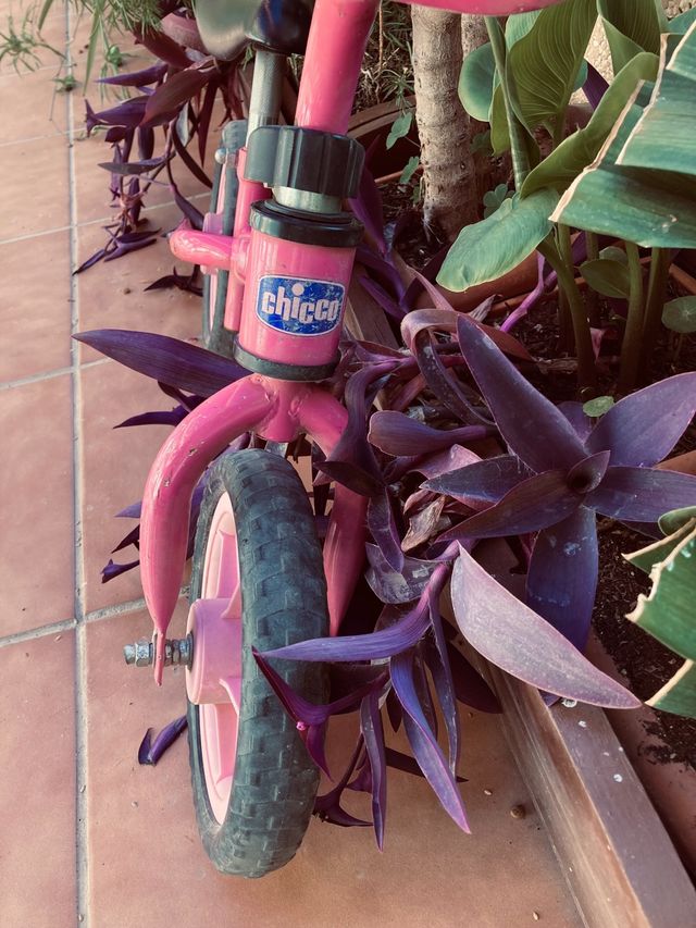 Bicicleta Chicco .