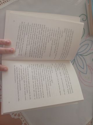 Libro Rumbo Sur 16° Premio Ala Delta