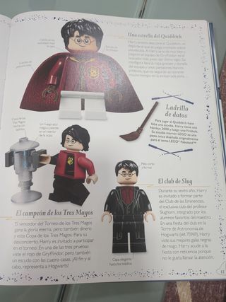 TESORO MAGICO HARRY POTTER