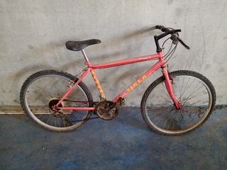 Bicicleta
