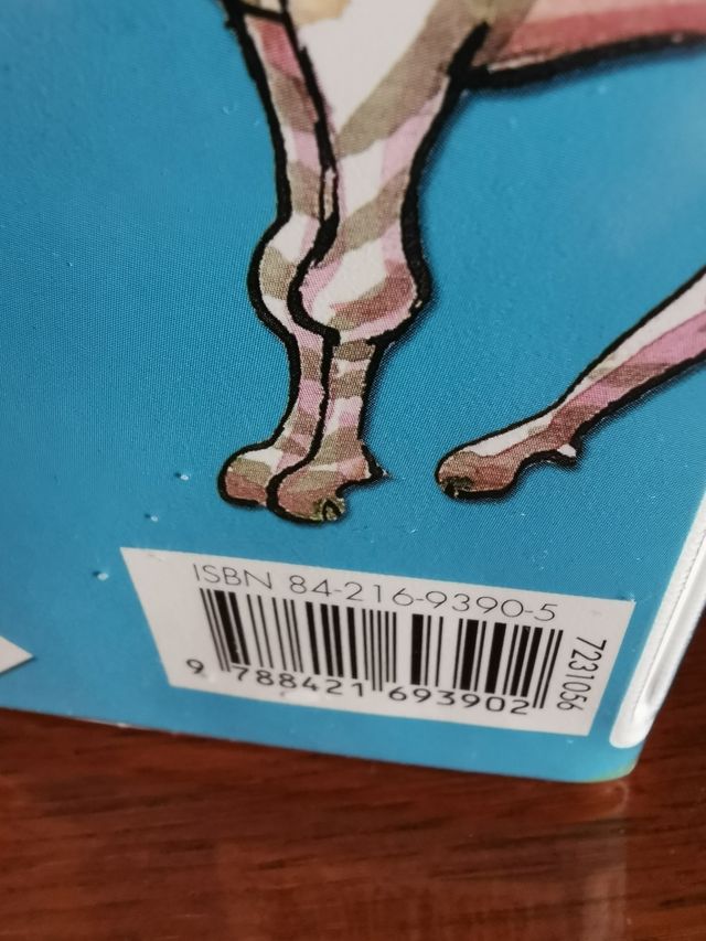 32 cuentos de la A a la Z Bruño