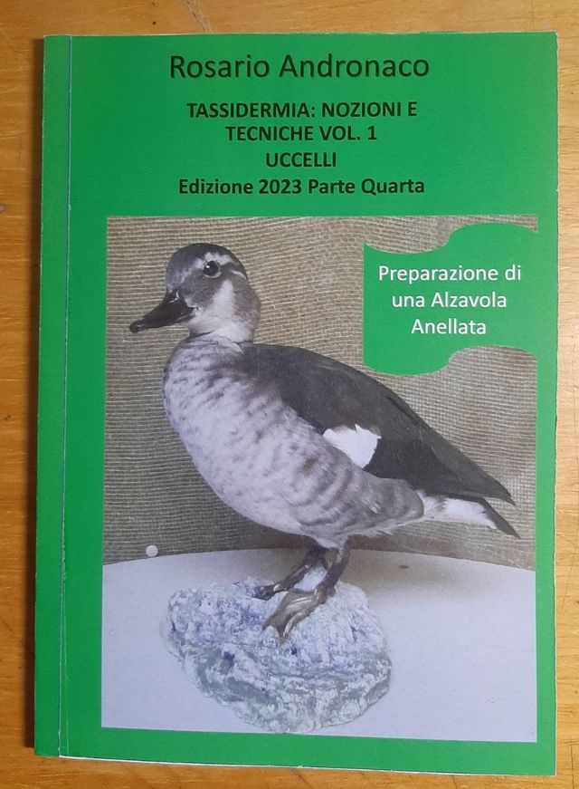 Tassidermia: imbalsamare una Alzavola ed 2023