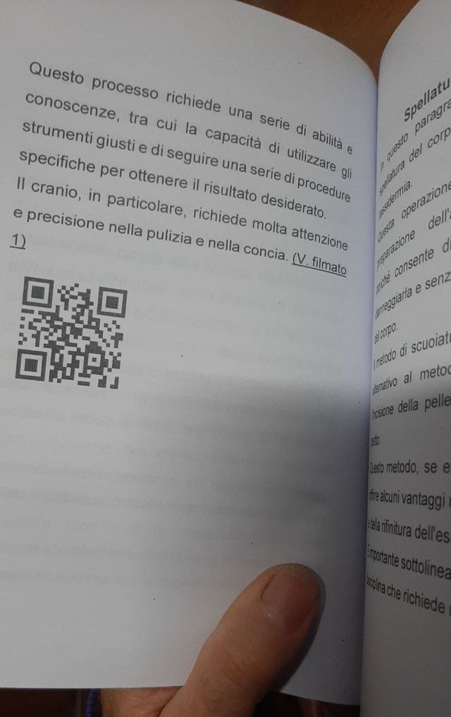 Tassidermia: imbalsamare una Alzavola ed 2023