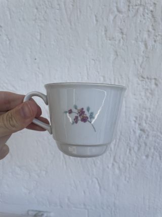 Servizio tazze e piatti vintage MZ Czechoslovakia