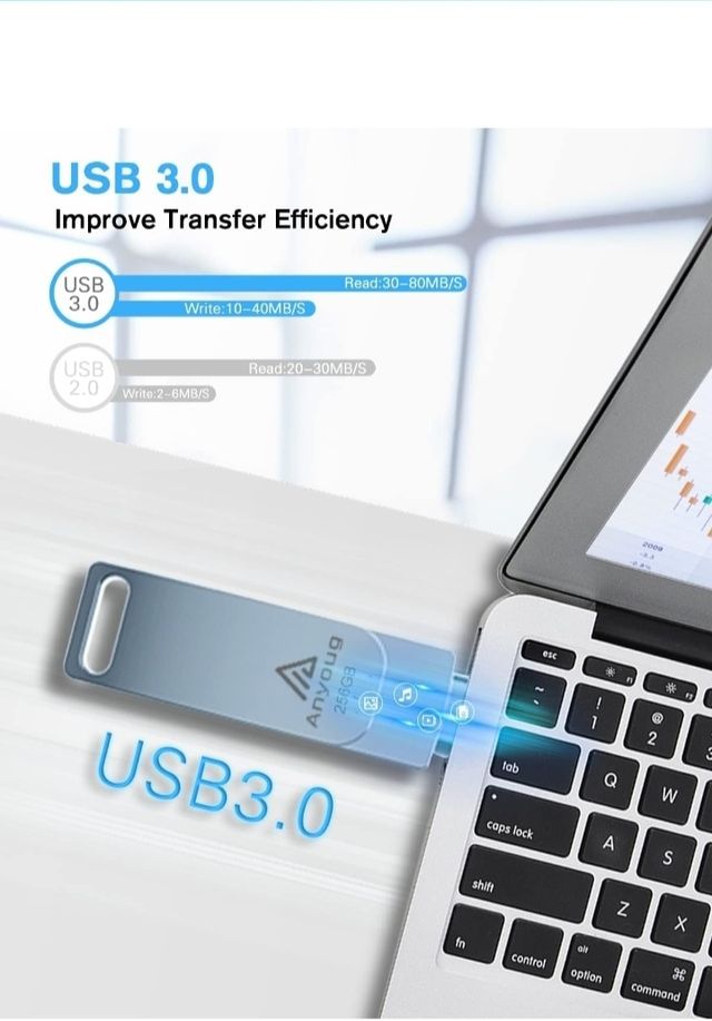 Chiavetta USB 256 GB per Phone,