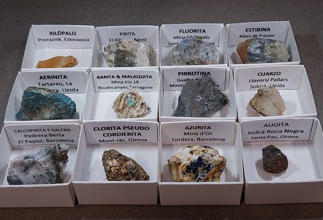 Lotto di 12 minerali in scatole da 4 x 4