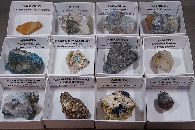 Lotto di 12 minerali in scatole da 4 x 4