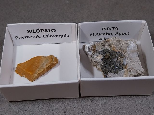 Lotto di 12 minerali in scatole da 4 x 4