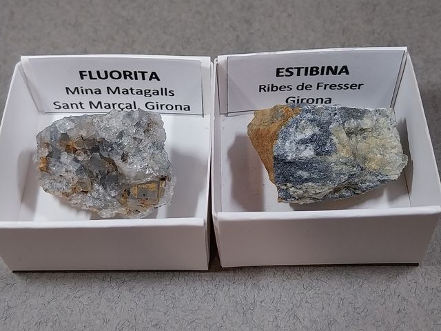 Lotto di 12 minerali in scatole da 4 x 4