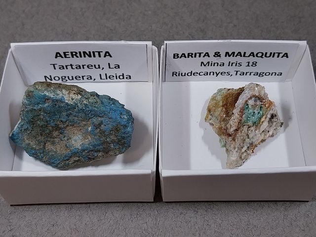 Lotto di 12 minerali in scatole da 4 x 4