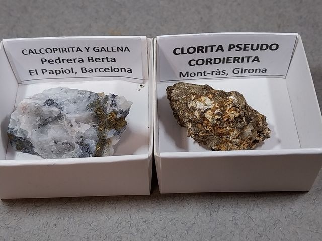 Lotto di 12 minerali in scatole da 4 x 4