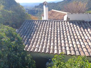 Cubiertas y tejas TLF.651429938