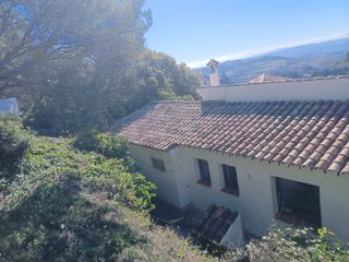 Cubiertas y tejas TLF.651429938