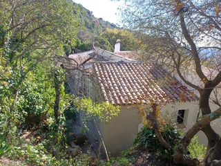 Cubiertas y tejas TLF.651429938