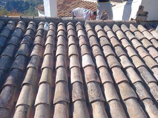 Cubiertas y tejas TLF.651429938