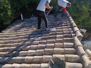 Cubiertas y tejas TLF.651429938