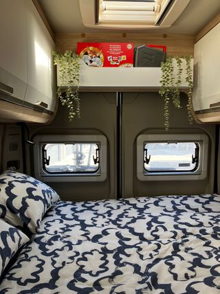 Knaus Box Star 4 Solution