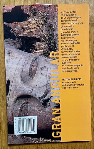 LOTE LIBROS LITERATURA JUVENIL (adolescentes)