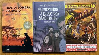 LOTE DE LIBROS LITERATURA JUVENIL