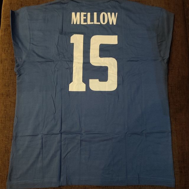 2 CAMISETAS CAMPEONES OLIVER Y BENJI