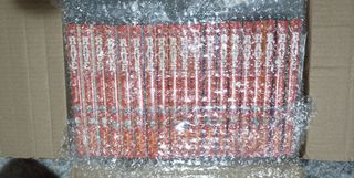 Manga - Rave - Tomos del 1 al 19