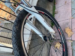 bicicleta eléctrica SPIKE BH elle 