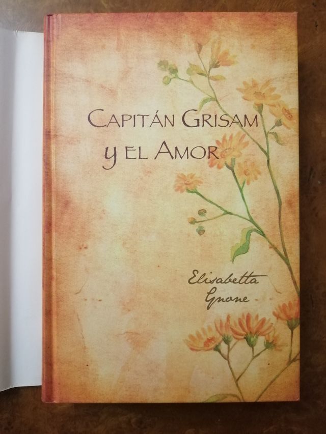 Fairy Oak: Capitán Grisam y el amor